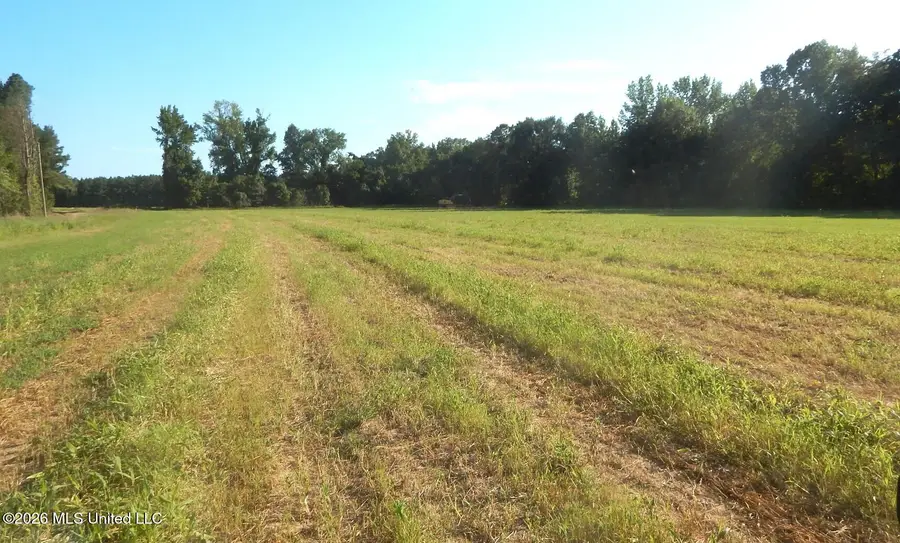 565 County Road 247 Country Road, Bruce, MS 38915 - #3