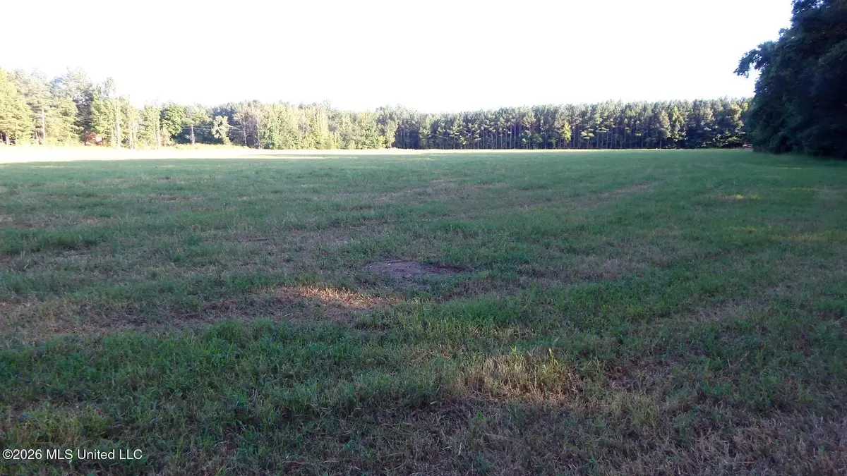 595 County Road 247, Bruce, MS 38915 - #1