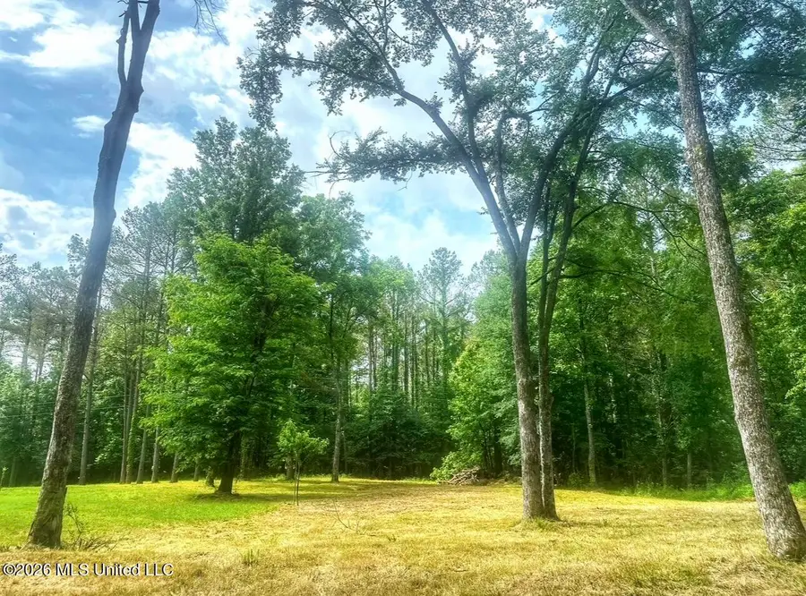 700 Rathell Road, Lexington, MS 39095 - #3