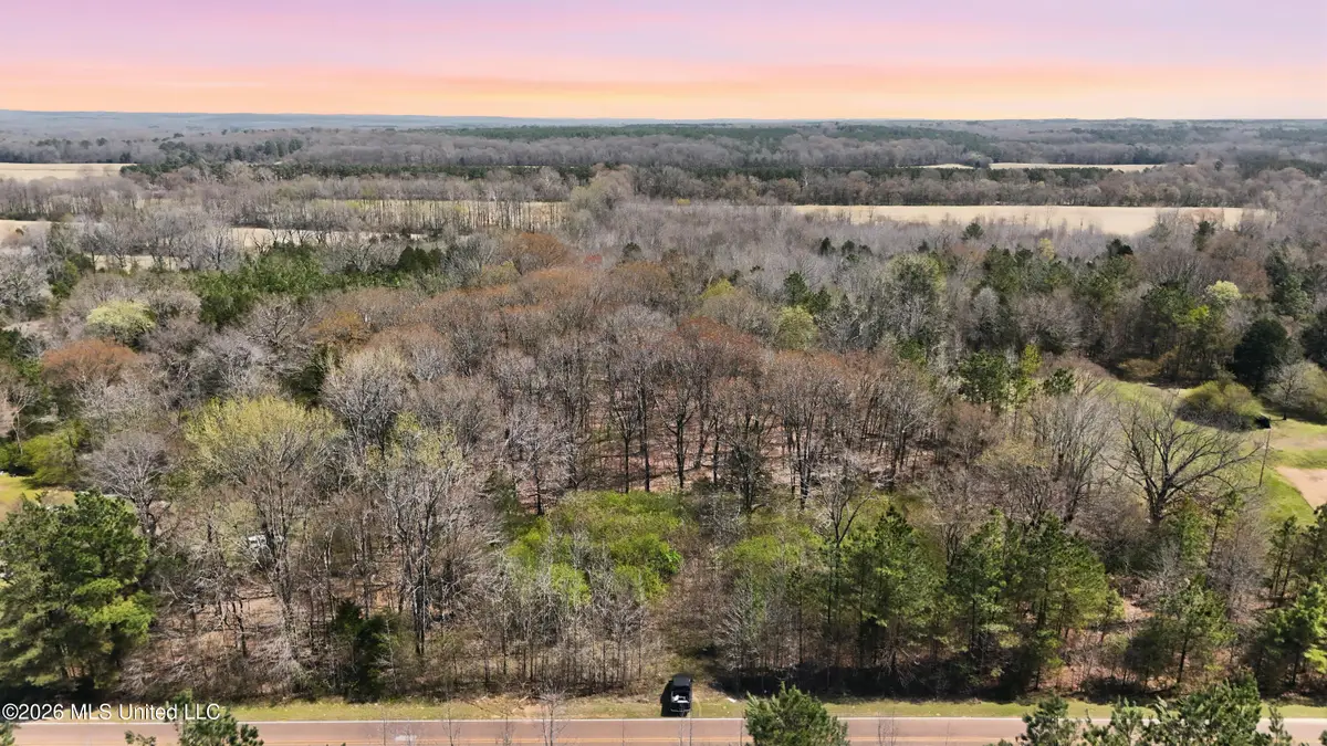0 N Mullins Road, Byhalia, MS 38611 - #1