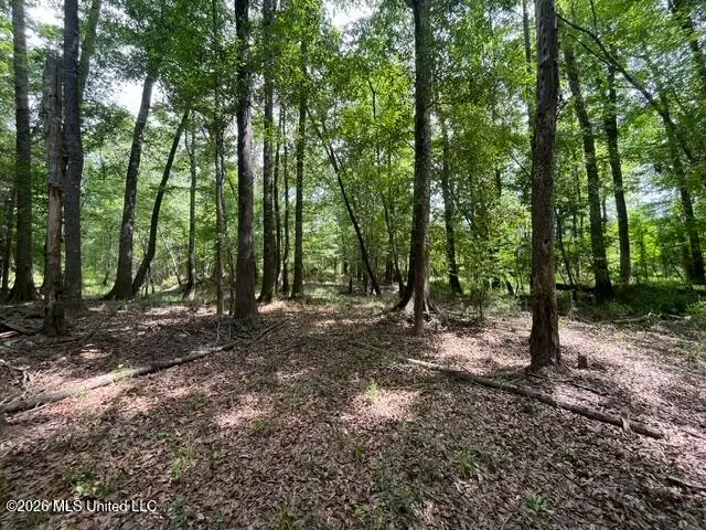 23.74 Acre Highway 57, Perkinston, MS 39573 - #3