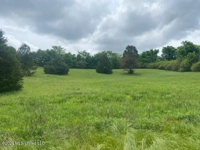 Peyton Road, Coldwater, MS 38618 - #1