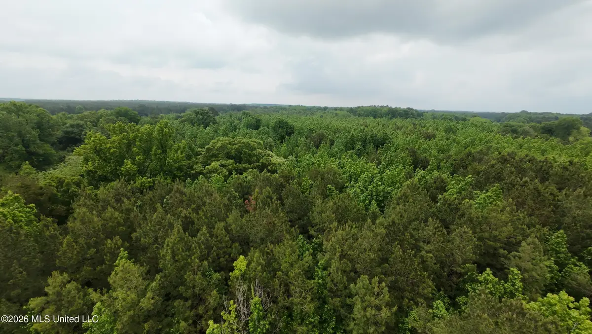 6936 Hillsboro-ludlow Road, Forest, MS 39074 - #1