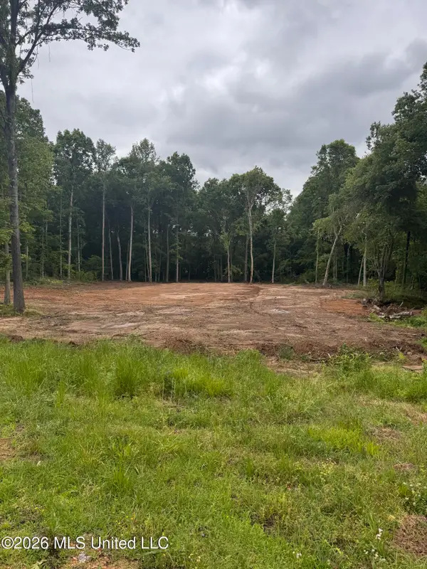 1306 Crockett Cove, Hernando, MS 38632