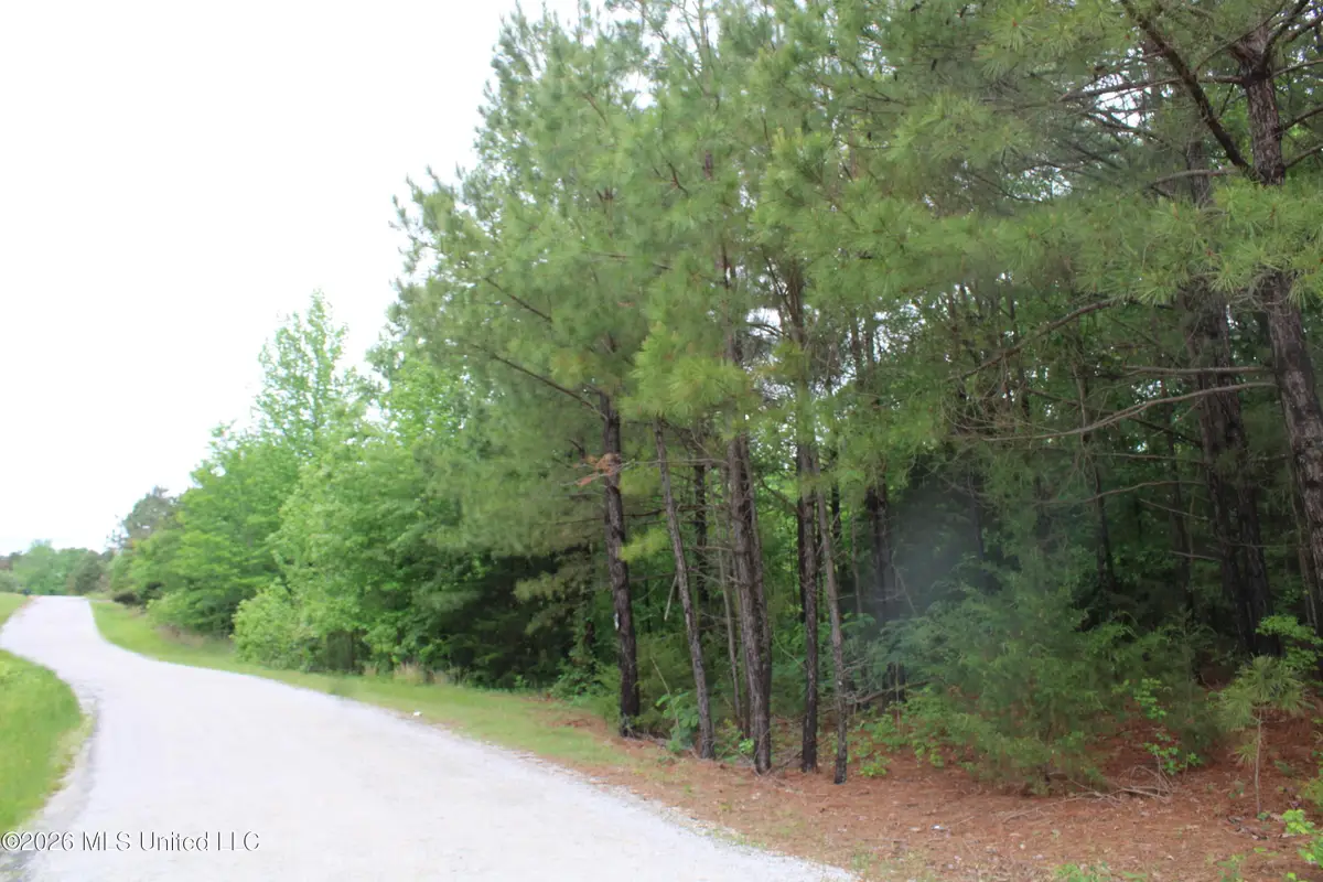806 Woods Road, Byhalia, MS 38611 - #1