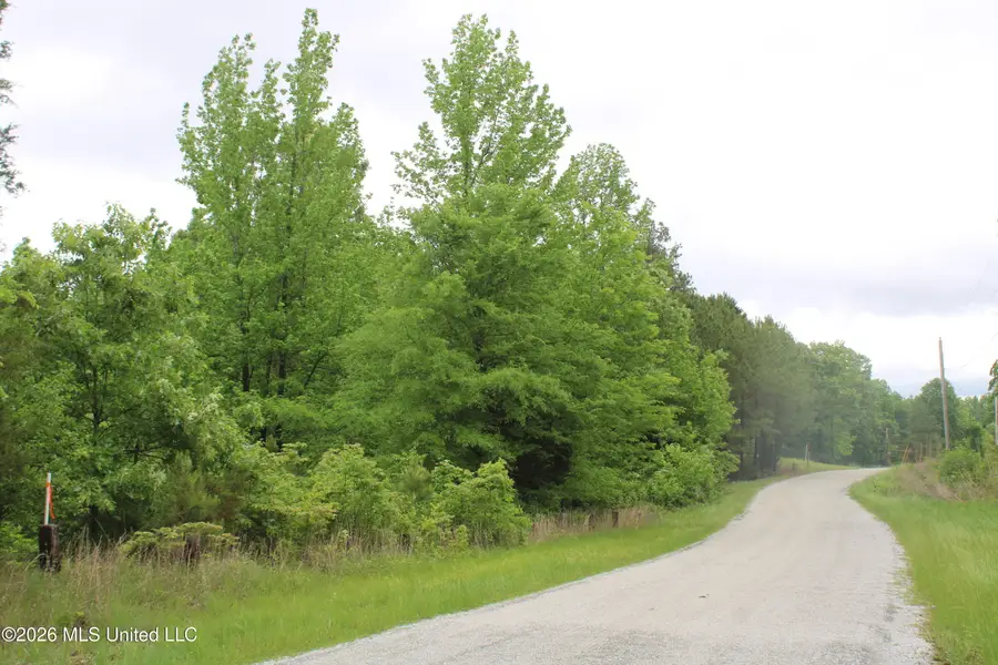 806 Woods Road, Byhalia, MS 38611 - #2