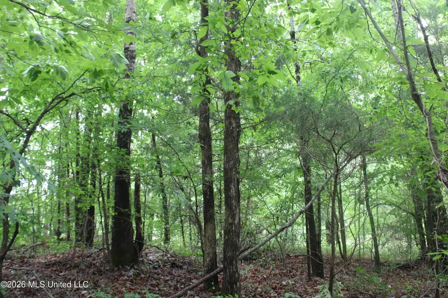 806 Woods Road, Byhalia, MS 38611 - #3