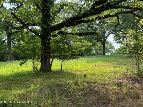 Scales Road, Morton, MS 39117