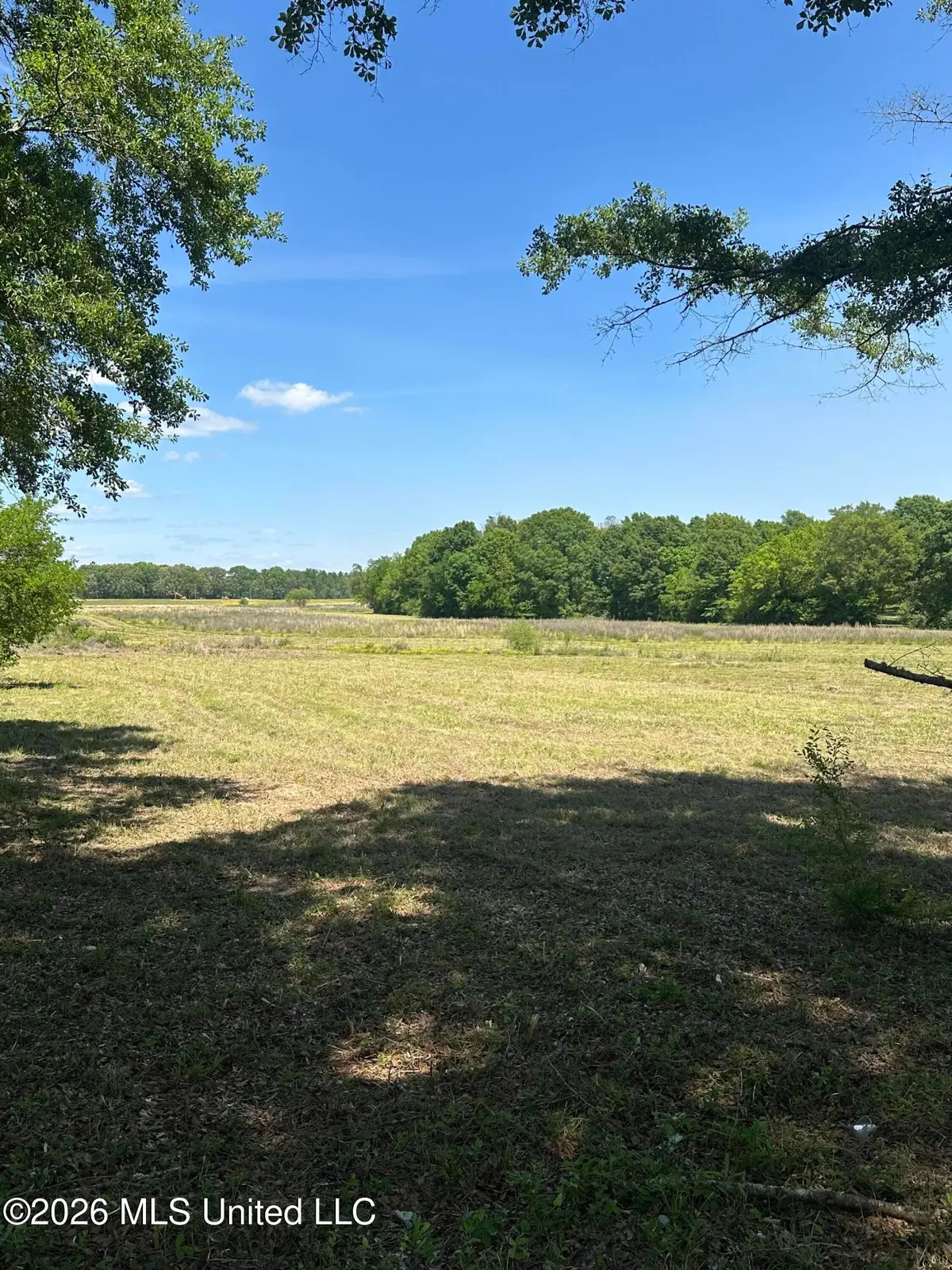 Holly Bush Road, Brandon, MS 39047 - #1