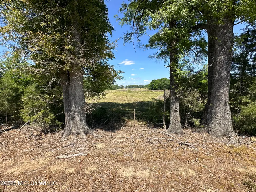Holly Bush Road, Brandon, MS 39047 - #3