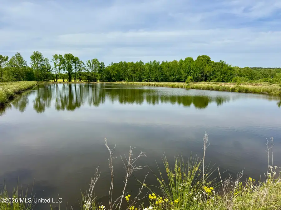 0002 County Rd 204, Tiplersville, MS 38674 - #3