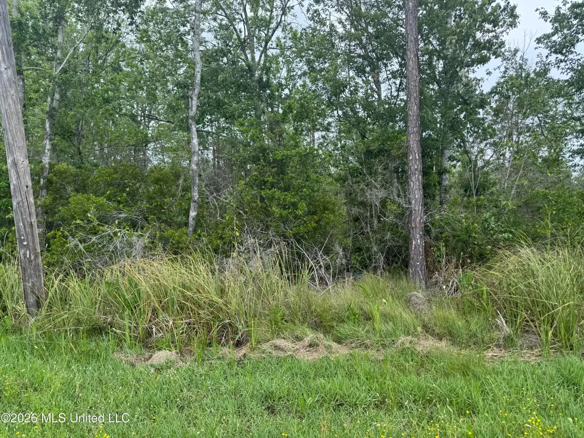 Nsn Lot 24 Piute Drive, Kiln, MS 39556 - #1