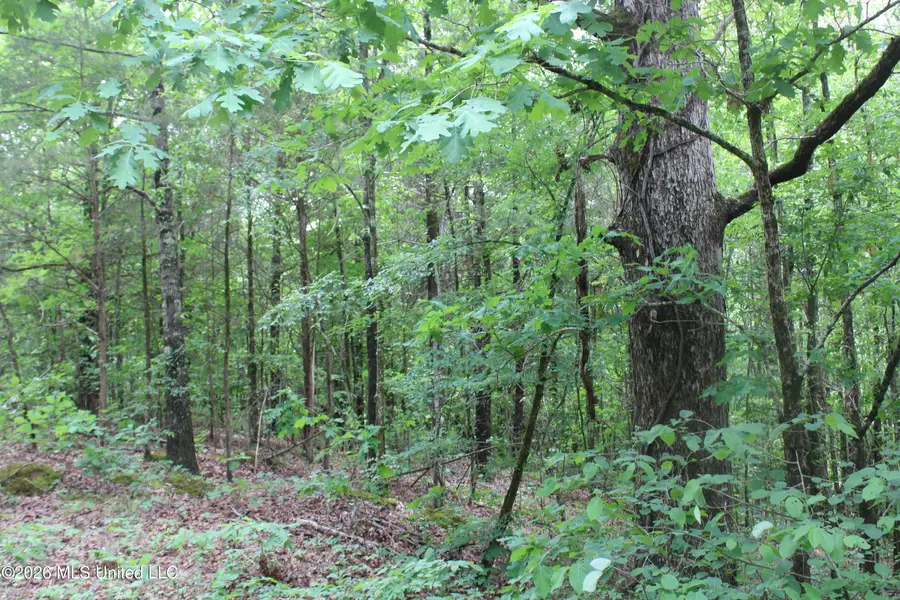 590 Richmond Road, Byhalia, MS 38611 - #3
