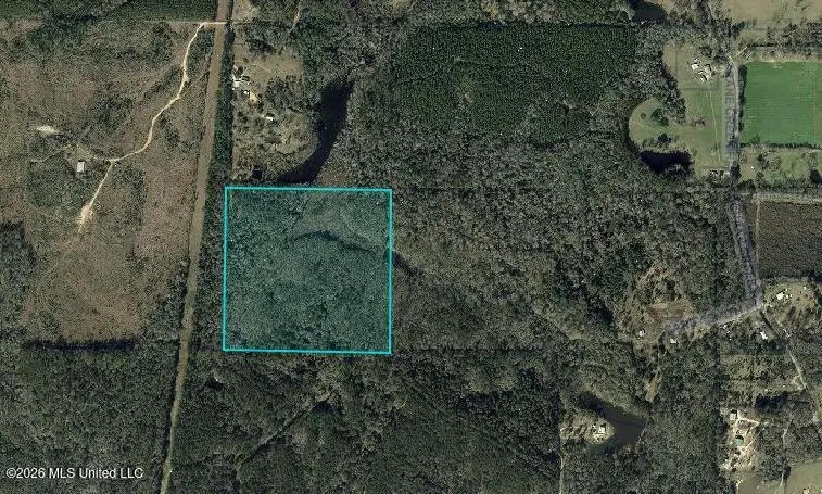 Owl Hoot Road, Perkinston, MS 39573 - #1