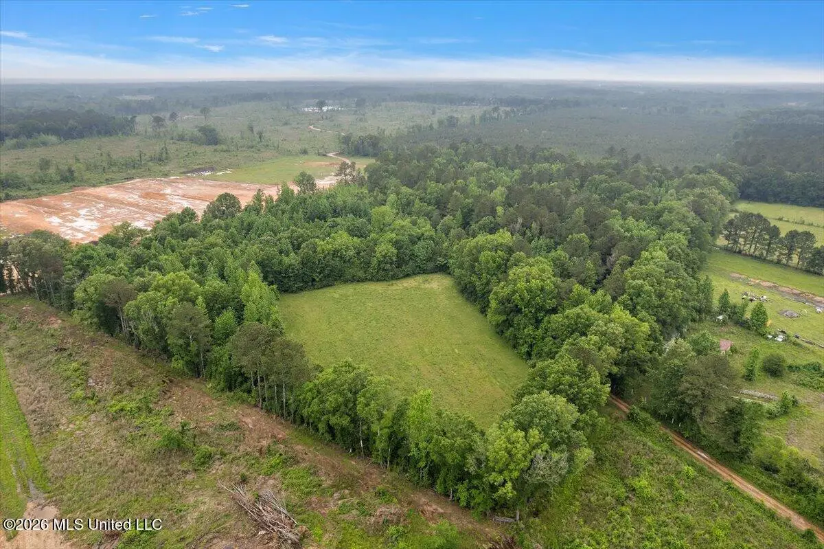 Calhoun Lane, Forest, MS 39074 - #1