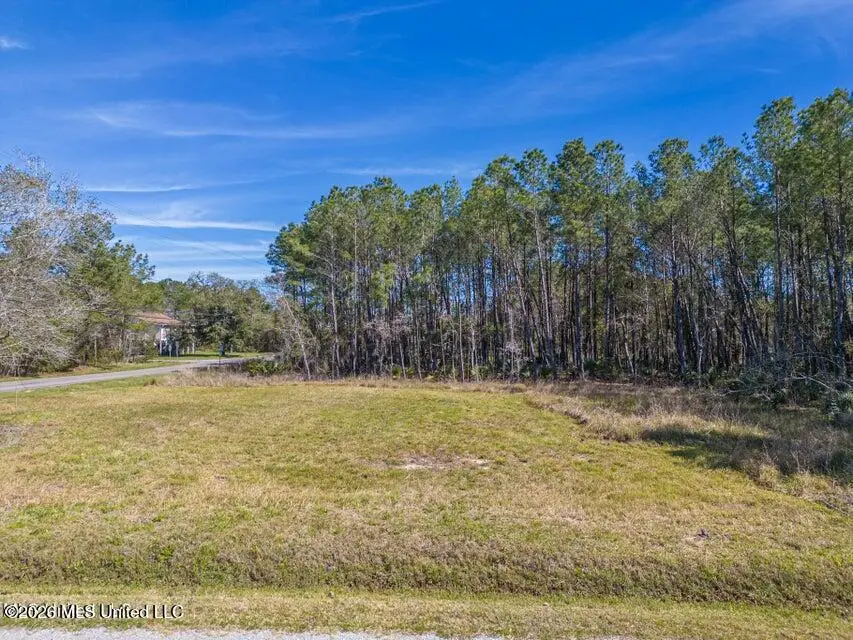 0 Chapman Road, Bay Saint Louis, MS 39520 - #1