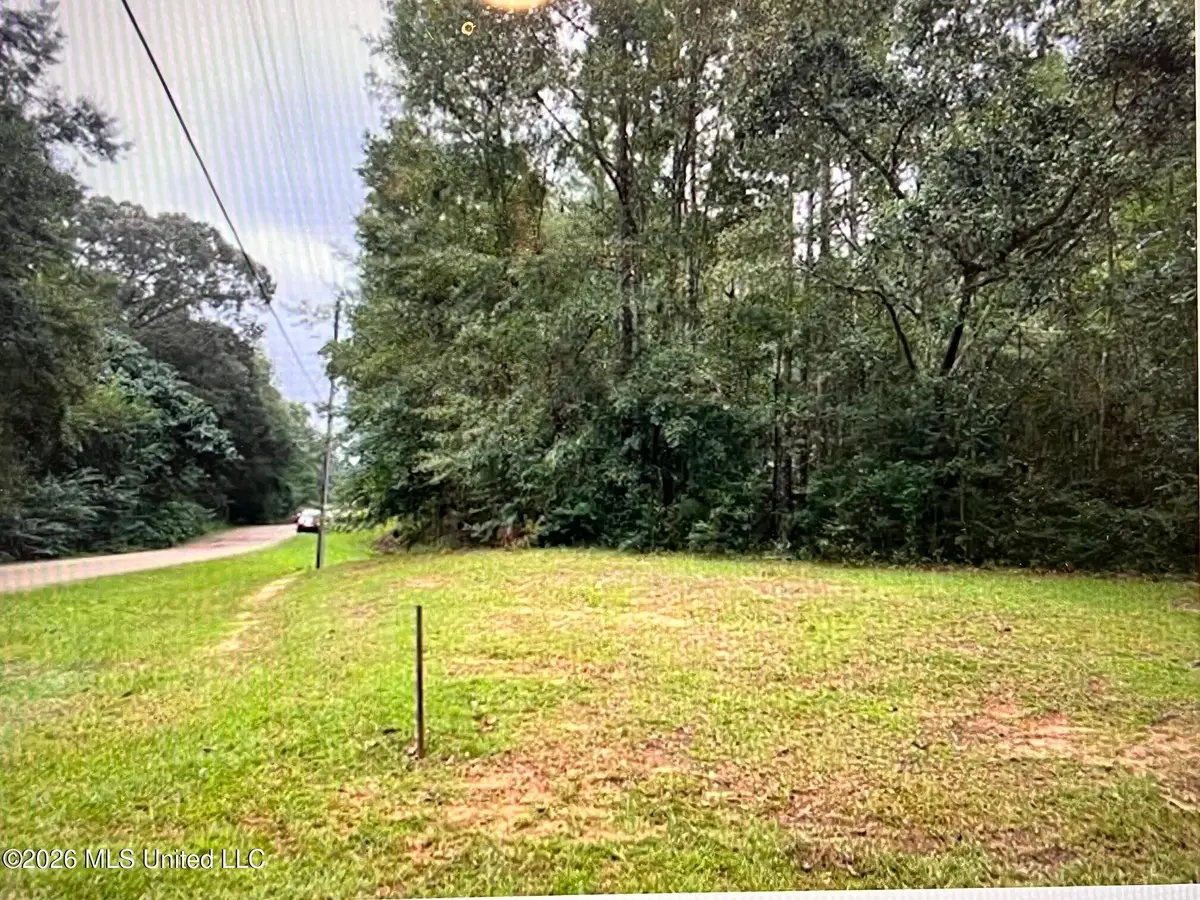 Lot 5-b Anglers Point, Lumberton, MS 39455 - #1