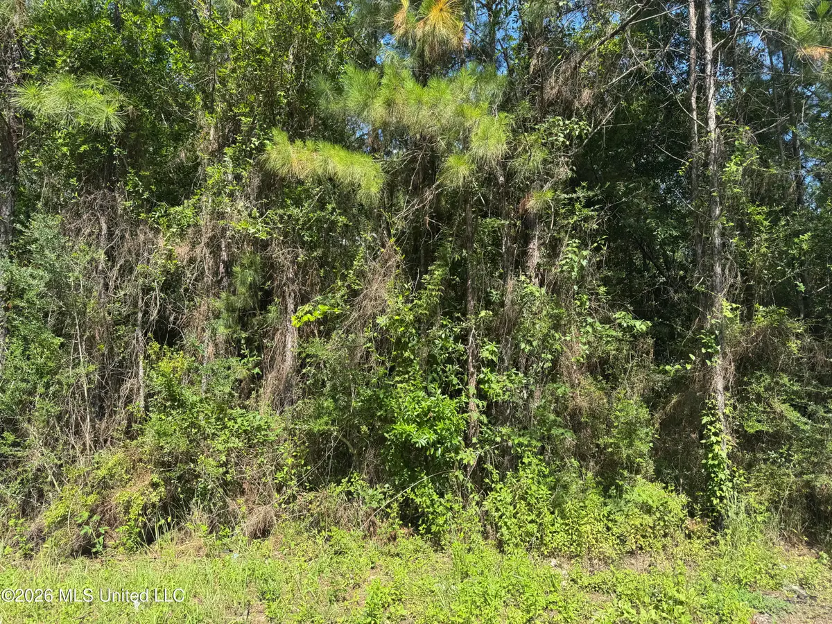 00 Schrader Court, Saucier, MS 39574 - #1