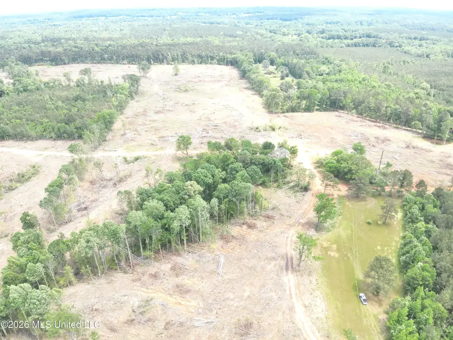 Smith County Rd 559, Pulaski, MS 39152 - #2