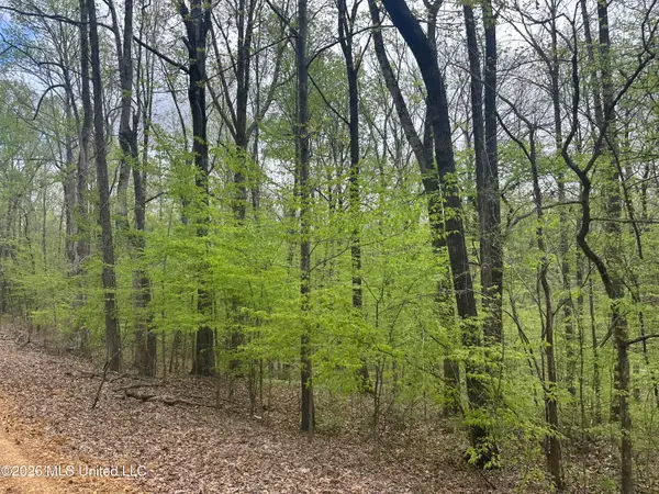 Tanyard Road, Hernando, MS 38632
