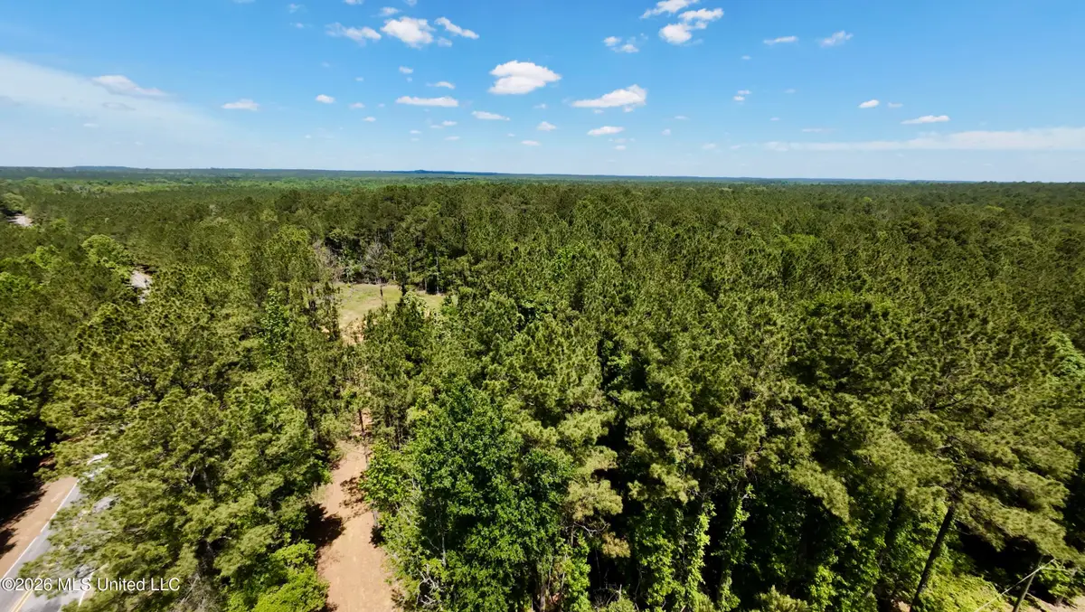 472 Saint John's Road, Braxton, MS 39044 - #1
