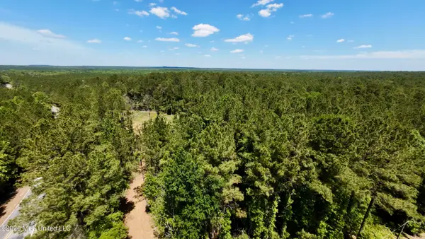 472 Saint John's Road, Braxton, MS 39044