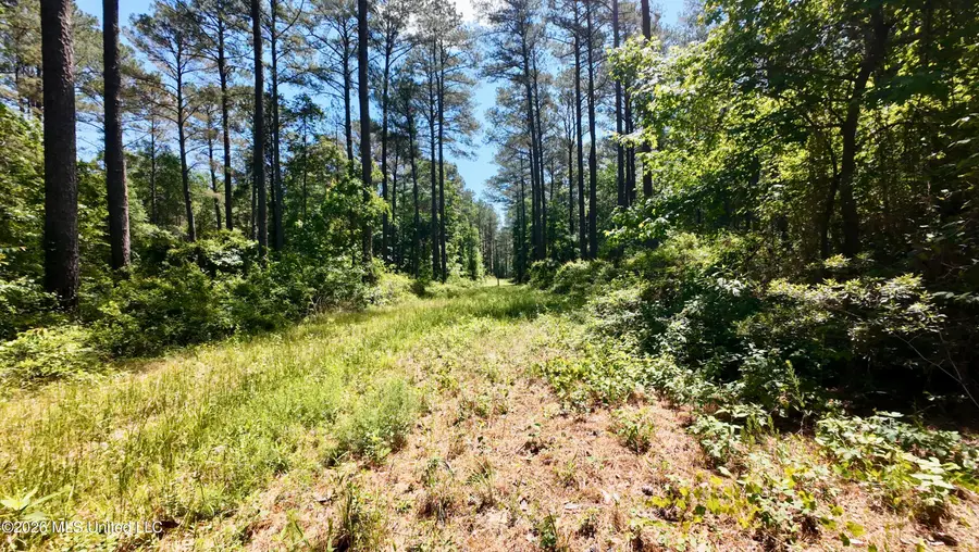 472 Saint John's Road, Braxton, MS 39044 - #3