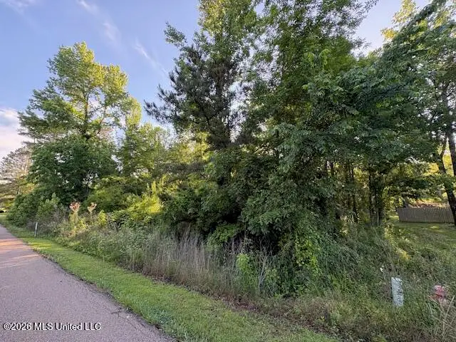 106 Holly Bush Place, Brandon, MS 39047 - #1
