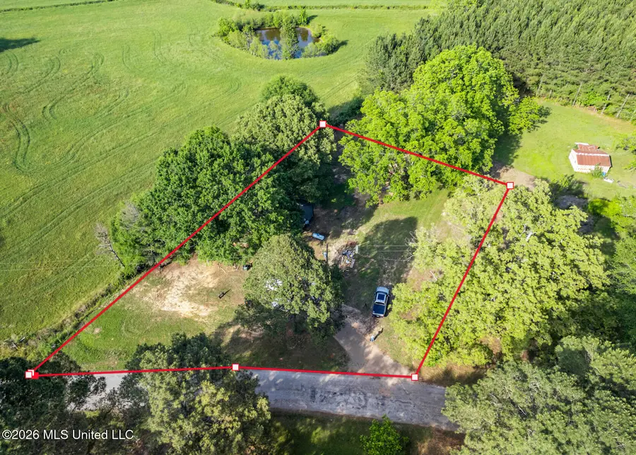 420 Risher Road, Carthage, MS 39051 - #3