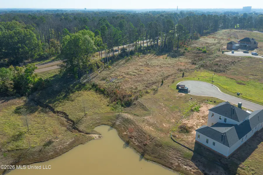 206 Alexandria Circle, Madison, MS 39110 - #3