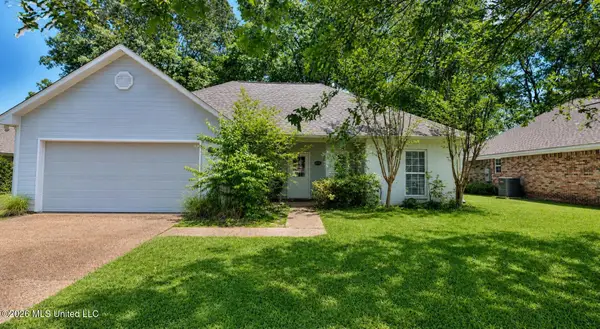 246 Cherry Bark Drive, Brandon, MS 39047