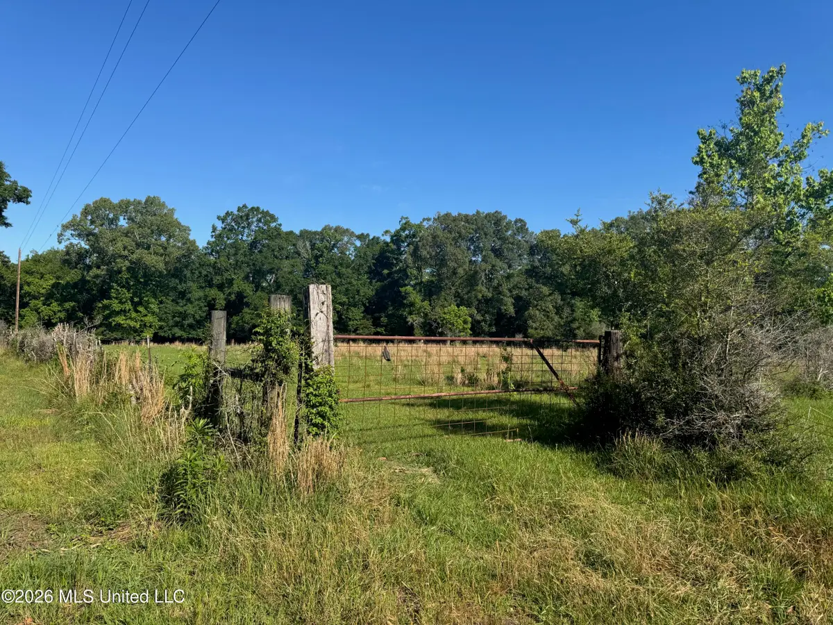 260 Mitchell Chapel Road, Poplarville, MS 39470 - #1
