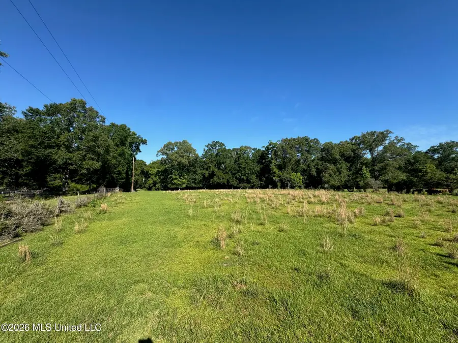 260 Mitchell Chapel Road, Poplarville, MS 39470 - #2