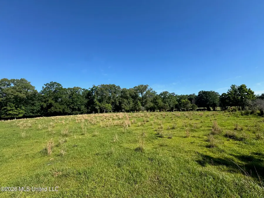 260 Mitchell Chapel Road, Poplarville, MS 39470 - #3