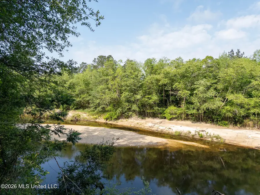 Gravel Pit Lake Road, Beaumont, MS 39423 - #2