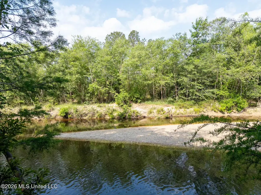 Gravel Pit Lake Road, Beaumont, MS 39423 - #3