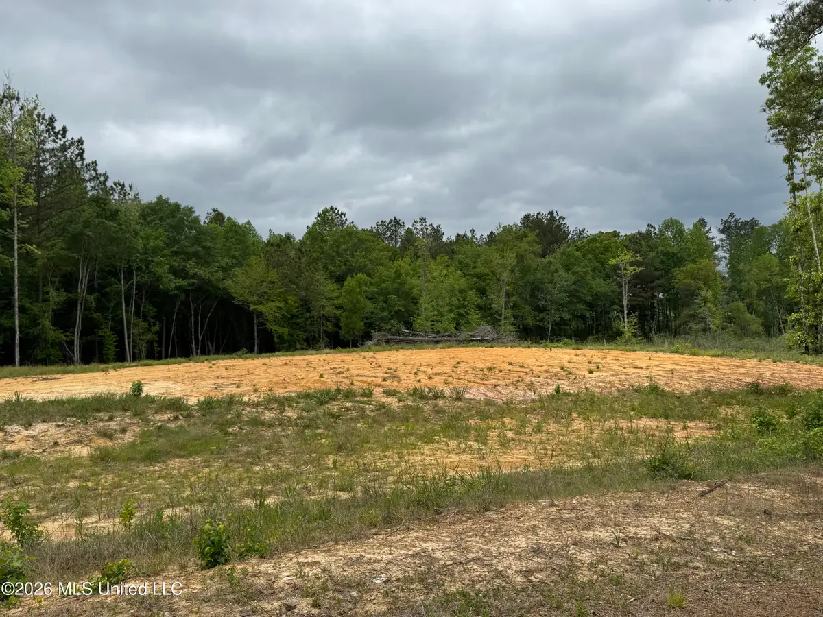 NE Allred Road, Eupora, MS 39744 - #1