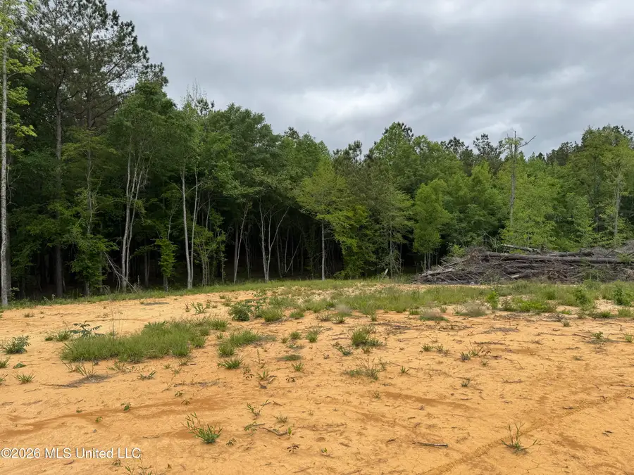 NE Allred Road, Eupora, MS 39744 - #3