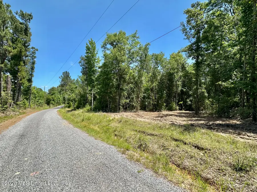 0 Mcnair Springs Road, Magee, MS 39111 - #2