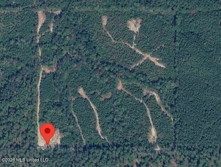 40 Acres Forestry Road 356, Beaumont, MS 39423 - #1