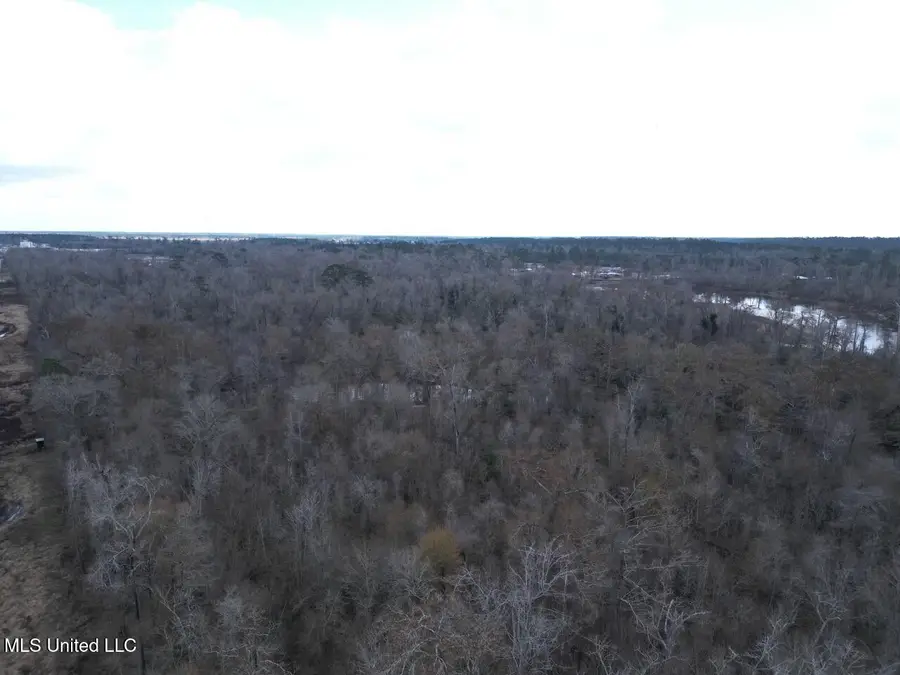 2600 Martin Tram Road, Reeves, LA 70658 - #3