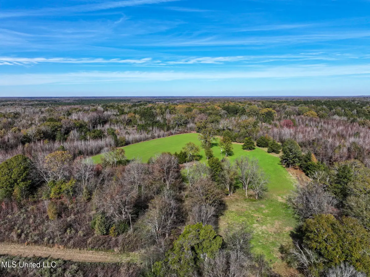 1066 Old Yazoo City Road, Canton, MS 39046 - #1