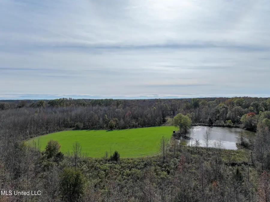 1066 Old Yazoo City Road, Canton, MS 39046 - #3
