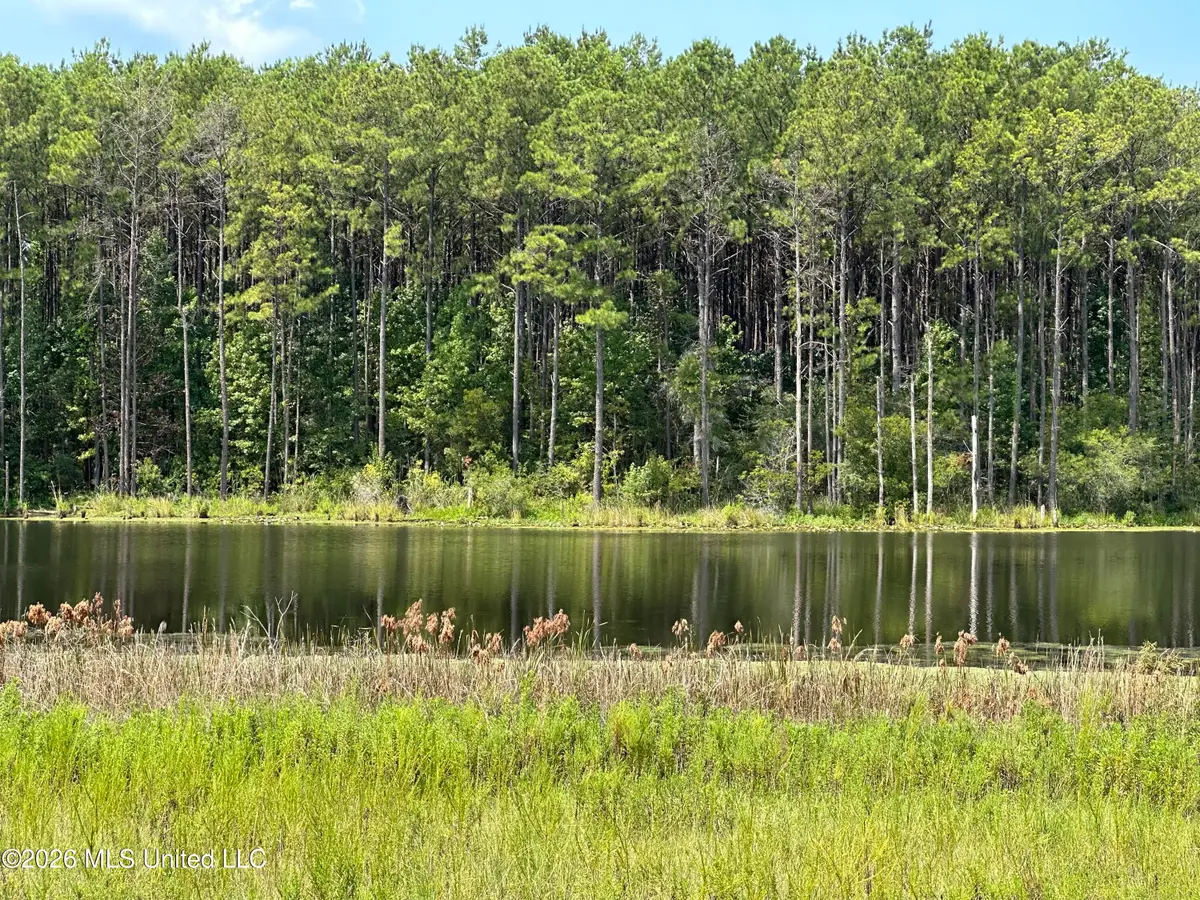 186 W New Arbor Road, Poplarville, MS 39470 - #1