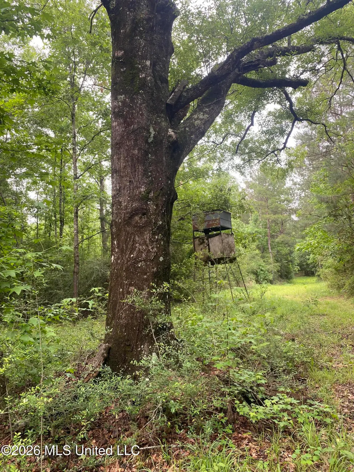 Tbd 48 NE S Of St, Gloster, MS 39638 - #1