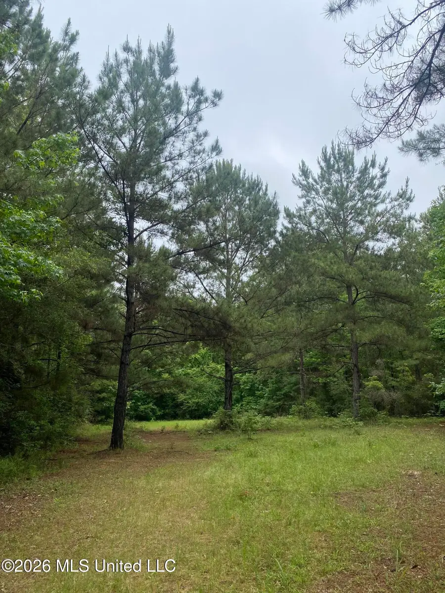 Tbd 48 NE S Of St, Gloster, MS 39638 - #2