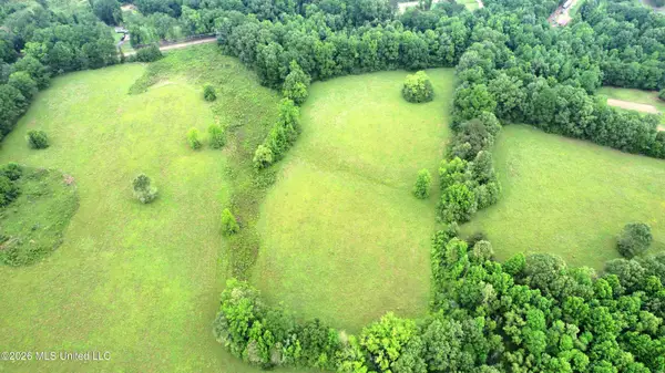 0 Tom Collins Road, Utica, MS 39175