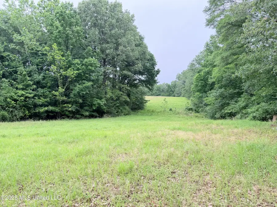 0 Hwy 18 Road, Utica, MS 39175 - #3