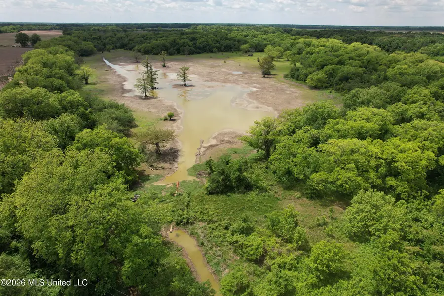 Jenkins Road, Alligator, MS 38720 - #2