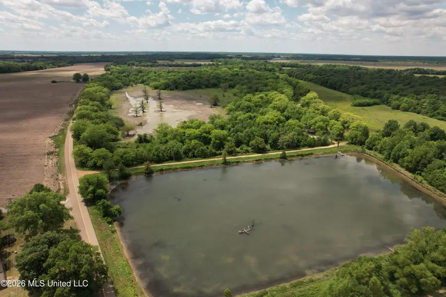 Jenkins Road, Alligator, MS 38720 - #3